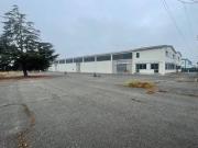 Immobile in affitto a Moncalieri TO