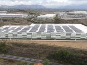 Immobile in affitto a Montelibretti RM