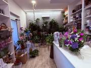 Immobile in affitto a Monterotondo RM