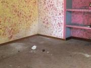 Immobile in affitto a Novara NO