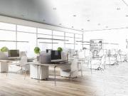 Immobile in affitto a Padova PD