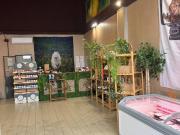 Immobile in affitto a Pavia PV