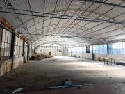 Immobile in affitto a Pesaro PU Immobile in affitto a Pesaro PU