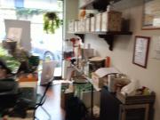 Immobile in affitto a Pesaro PU