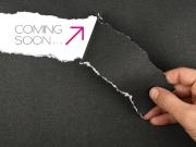 Immobile in affitto a Pescantina VR