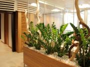 Immobile in affitto a Pescara PE