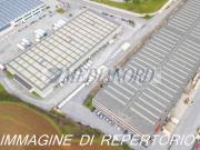 Immobile in affitto a Peschiera Borromeo MI
