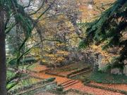 Immobile in affitto a Piacenza PC