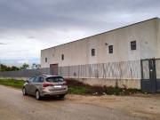 Immobile in affitto a Pignataro Maggiore CE