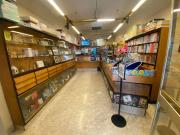 Immobile in affitto a Pisa PI