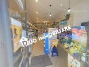 Immobile in affitto a Pisa PI