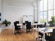 Immobile in affitto a Pisa PI