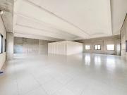 Immobile in affitto a Pisa PI