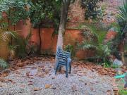 Immobile in affitto a Pisa PI