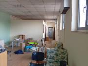 Immobile in affitto a Pistoia PT