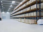 Immobile in affitto a Pontedera PI