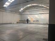 Immobile in affitto a Prato PO
