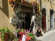 Immobile in affitto a Prato PO