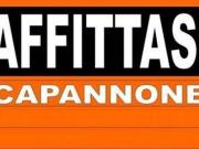 Immobile in affitto a Reggio Emilia RE