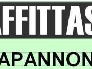 Immobile in affitto a Reggiolo RE