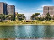 Immobile in affitto a Roma RM