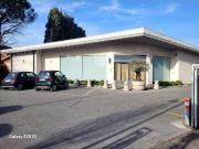 Immobile in affitto a Roma RM