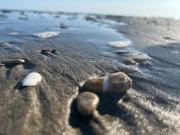 Immobile in affitto a Roma RM