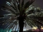 Immobile in affitto a Roma RM