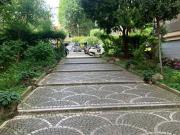 Immobile in affitto a Roma RM