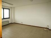 Immobile in affitto a San Bonifacio VR