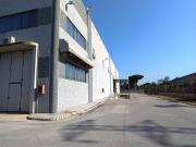 Immobile in affitto a San Nicola la Strada CE