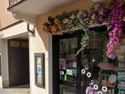 Immobile in affitto a Santhià VC