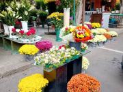 Immobile in affitto a Sassari SS