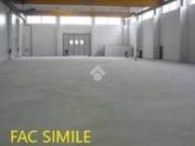 Immobile in affitto a Scandicci FI