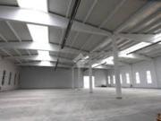 Immobile in affitto a Scandicci FI