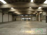 Immobile in affitto a Segrate MI