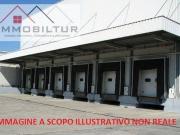 Immobile in affitto a Sesto Fiorentino FI