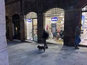 Immobile in affitto a Siena SI