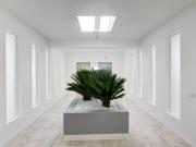 Immobile in affitto a Torino TO