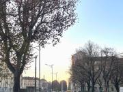 Immobile in affitto a Torino TO