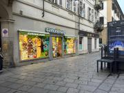 Immobile in affitto a Torino TO