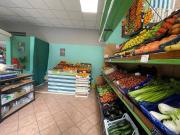 Immobile in affitto a Torino TO Immobile in affitto a Torino TO