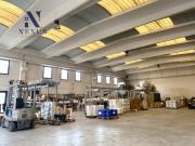 Immobile in affitto a Trecastelli AN