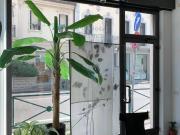 Immobile in affitto a Treviso TV