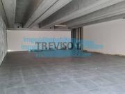 Immobile in affitto a Treviso TV