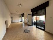 Immobile in affitto a Venaria Reale TO