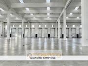 Immobile in affitto a Verona VR