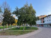 Immobile in affitto a Verona VR