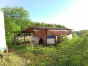 Immobile in asta di 100 m con più di 5 locali in vendita...