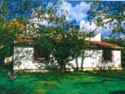 Immobile in asta di 102 m in vendita a Francavilla Fontana